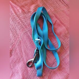 Blue Dog Leash with Metal Clip